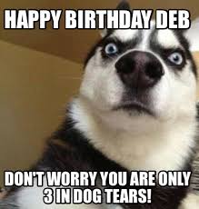 Wishing friends or family a happy birthday is a fairly universal concept worldwide across many cultures, and happy birthday to you is the most sung song. Meme Maker Happy Birthday Deb Don T Worry You Are Only 3 In Dog Tears Meme Generator