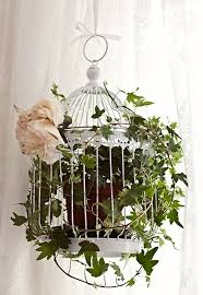 Birdcage Decor Bird Cage Ideas Love The Idea Of Peppering A Home With Greenery Filled Vintage Birdcages Like This Bird Cage Decor Bird Cage Birdcage Planter