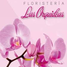 Floristeria Las Orquideas