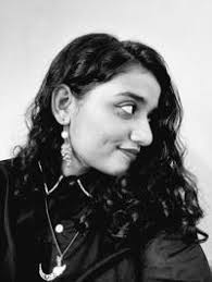 Leonardo da Vinci Journalists, Reporters, Correspondents For Hire