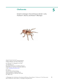 Camels have many adaptations that allow them to live successfully in desert conditions. Pdf Chelicerata