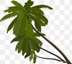 When designing a new logo you can be inspired by the visual logos found here. Palm Tree Images Palm Tree Transparent Png Free Download