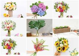 Floral singapore is a local florist in singapore that provides flower needs for the area. Little Yarn Friends A Better Florist Gorgeous And Affordable Flowers