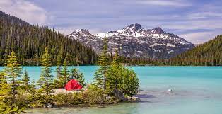 Our online park finder helps you find your next great getaway. Camping Reservations For Bc Parks Open Tomorrow News