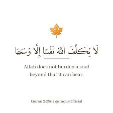 Pin On Quran