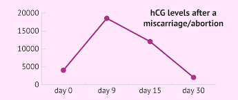 hcg levels after a miscarriage or a medical abortion