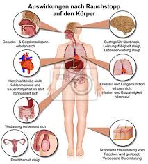 Rauchen, zigaretten rauchen ist eine der vielen süchte der menschheit. Auswirkungen Von Nikotin Auf Den Korper Zigaretten Rauchen Leinwandbilder Bilder Impotenz Karzinogen Lungenkrebs Myloview De