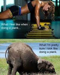 The situation was kind of funny, seeing as neither of them read. Dm Your Shoutout Pics On Instagram Happy Sunday Morning Everyone Who S Got Their Early Morning Workout Done Already Lucu Yoga