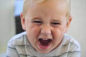 Ihren höhepunkt erleben die meisten kinder aber zwischen dem zweiten und dem dritten geburtstag. Trotzphase Bei Kindern Dauer Ablauf Und Tipps Zur Autonomiephase