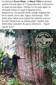 Nese Nin Gozdeleri Biliyor Muydunuz Gercekler Ilginc Gercekler