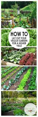 Find ideas and inspiration for garden layout to add to your own home. 19 Vegetable Garden Plans Layout Ideas That Will Inspire You