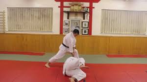 Karate jutsu provides insights into an underexplored, form of okinawan kenpo focused on infighting. Karate Jutsu Youtube