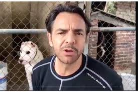 A pensar dos veces antes de regalar mascotas en Navidad