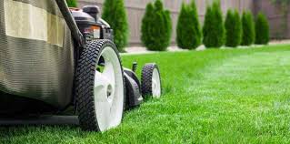 Check spelling or type a new query. How Much Does It Cost To Hire A Gardener Service Com Au