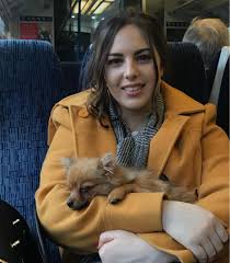 Pets at home opening times in canterbury, uk. Pet Daycare In New Brighton With Best Prices On Petbacker