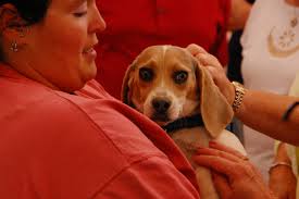 Portraits II — Pete Warshaw