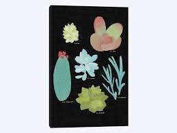 succulent plant chart ii canvas art by wild apple portfolio icanvas