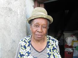 Image result for Afrobrunnichia