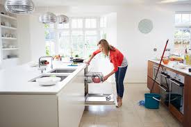 A 4.5 pound box of tsp (trisodium phosphate) is less . Why Your New Dishwasher Doesn T Clean Your Dishes Neli