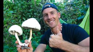 I wonder, can i eat them? Mushrooms In My Garden Can I Eat Them Youtube