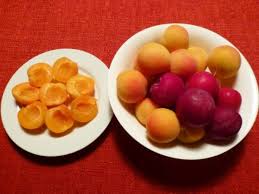 What kind of strawberries are in a fruit salad? Plant A Fruit Salad Four Different Fruits Growing On The Same Tree Dengarden