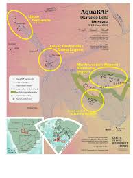 Image result for Gunillaea rhodesica