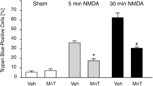 Hours to minutes conversion calculator helps you to find how many minutes in a hour, converts the unit of time hours to minutes. Delayed Mitochondrial Dysfunction In Excitotoxic Neuron Death Cytochrome C Release And A Secondary Increase In Superoxide Production Journal Of Neuroscience