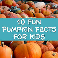 Ed perkins offers up ideas. Pumpkin Facts For Kids Fun Trivia And Info