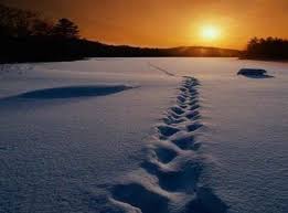 Resultado de imagem para uma imagem fala mais que mil palavras