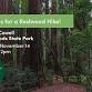 Discover Forest Life: Hike at Henry Cowell Redwoods event image