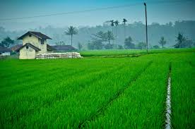 Atmosfer adalah bulatan udara yang membungkus bola bumi. Atmosfer Cobacobabuka