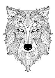 Coloring book forest animal wolf cartoon. Wolves Coloring Pages For Adults