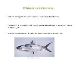 Alphonse, one of the famed saltwater destinations on the planet, is by most accounts, home. Seed Production Of Milkfish Chanos Chanos Distribution And