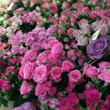 Shop the best valentine's day flowers via online flower delivery retailers, including flowers by post. Nyc S Best Flower Shops Racked Ny