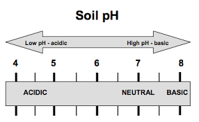 soil acidity and liming basic information for farmers and