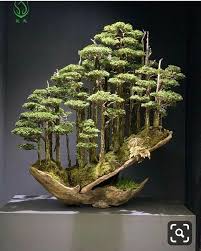 Pin By Garywade On Landscape Bonsai Forest Bonsai Art Bonsai Garden