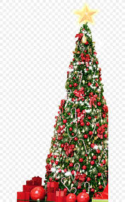 40+ vectors, stock photos & psd files. Christmas Tree Png 600x1319px Christmas Tree Christmas Christmas Decoration Christmas Ornament Conifer Download Free