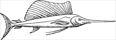 Download printable swordfish coloring page. Swordfish Coloring Page To Print Coloringbay