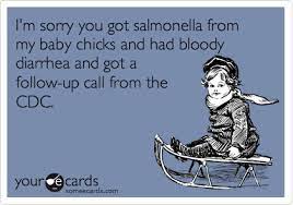 I M Sorry You Got Salmonella From My Baby Chicks And Had Bloody Diarrhea And Got A Follow Up Call From The Cdc Apology Ecard