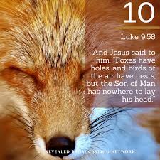 Jesus Birds Of The Air Luke 9 58 And Jesus Said To Him Foxes Have Holes And Birds Of The Air Have Nests But The Son Of Man Has Nowhere To Lay The Son Of Man Luke