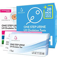 The 8 Best Pregnancy Tests Of 2021