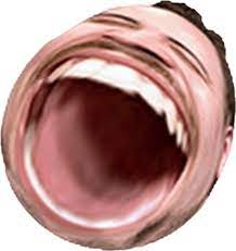 Download free omegalul png with transparent background. Omegalul Pubg Starladder Com