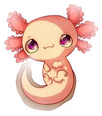 Axolotl drawing easy / step by step how to draw a axolotl drawingtutorials101 com. Anime Cute Animal Anime Axolotl Drawing Novocom Top