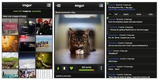 Each app is marked allowed or not allowed. allowed means that your phone is allowed to put the app to sleep when it's in the background. Imgur Photo Hosting App Arrives For Android Android Community