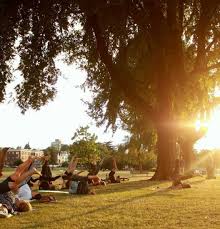 Baya's studio is located conveniently in the heart of kitsilano. Free Outdoor Yoga Classes Being Held In Kitsilano All Summer Long Inside Vancouver Bloginside Vancouver Blog