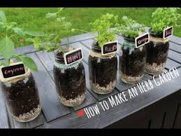 The most important thing for beginners to know when they're considering growing an indoor herb garden is that most herbs require as much light as possible. How To Indoor Herb Garden Youtube