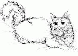 This is one of the interesting cat in the hat coloring pages free printable that features the fish in the garden. Cat Coloring Pages Free Coloring Home