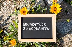 Kleingarten Verkaufen Tipps Die Dabei Helfen Werden