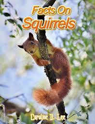 This is the perfect resource for students, teachers or anyone who wants to learn more about a specific animal species. Facts On Squirrels Squirre Fun Facts And Amazing Photos Of Animals Interesting Facts Squirrel Fact Book For Kids