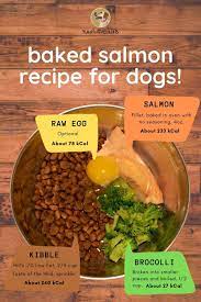 Baked Salmon For Dogs Recipe With Broccoli Yuna The Labrador Raw Dog Food Recipes Dog Food Recipes Healthy Dog Food Recipes